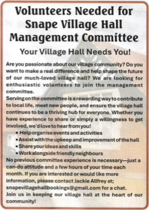 251101 Volunteers Needed flyer