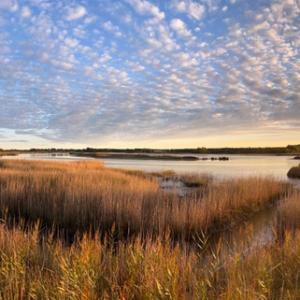 sunset over Snape Marshes IMG 0232