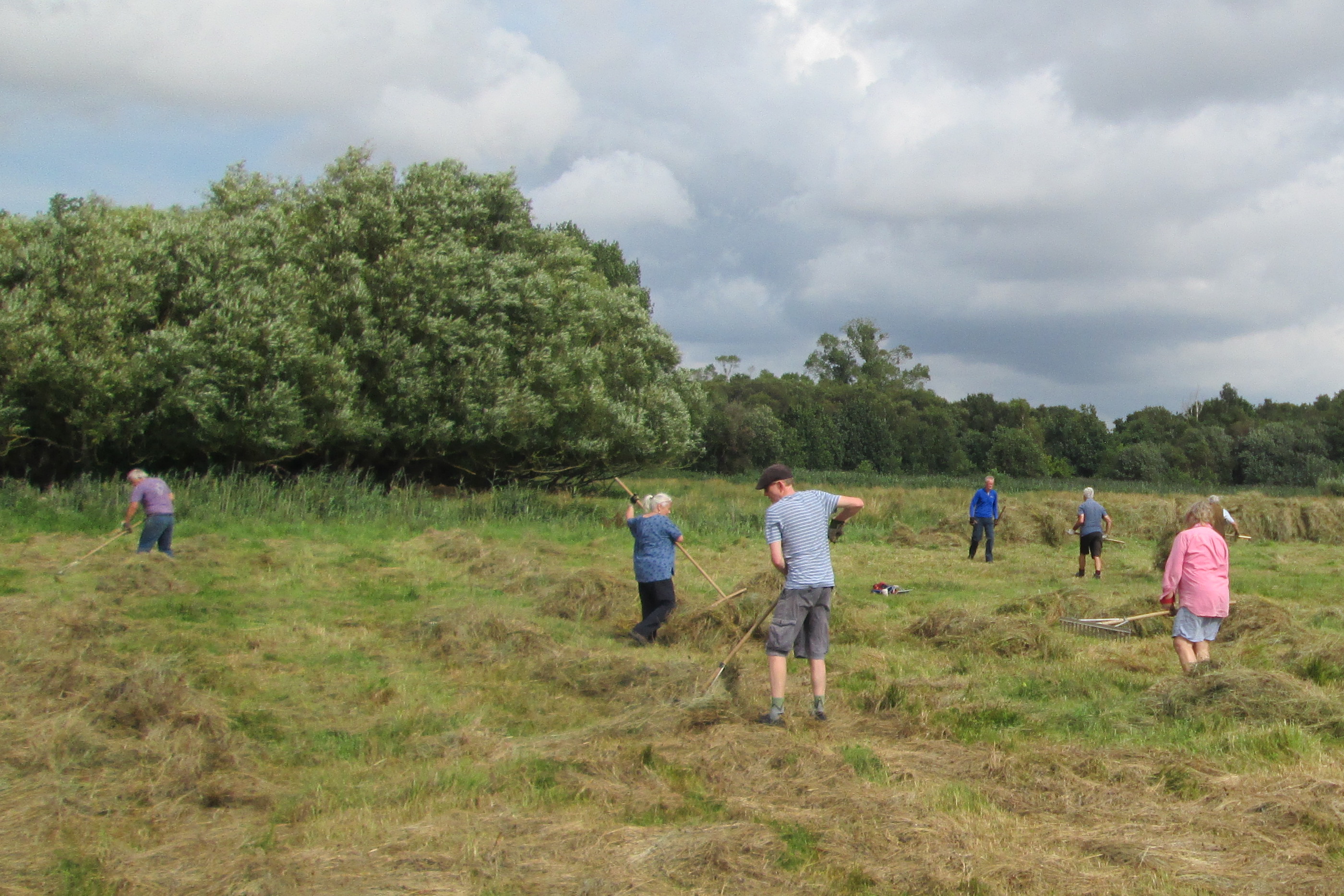 Raking & pitchforking, Fri 10th