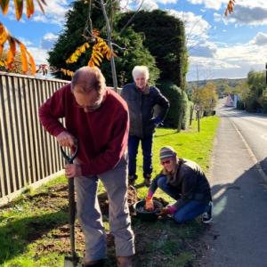 251027 planting on Snape Hill
