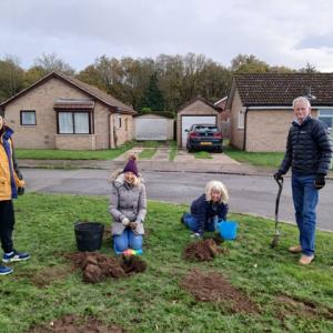 bulb-planting at Stanhope Close