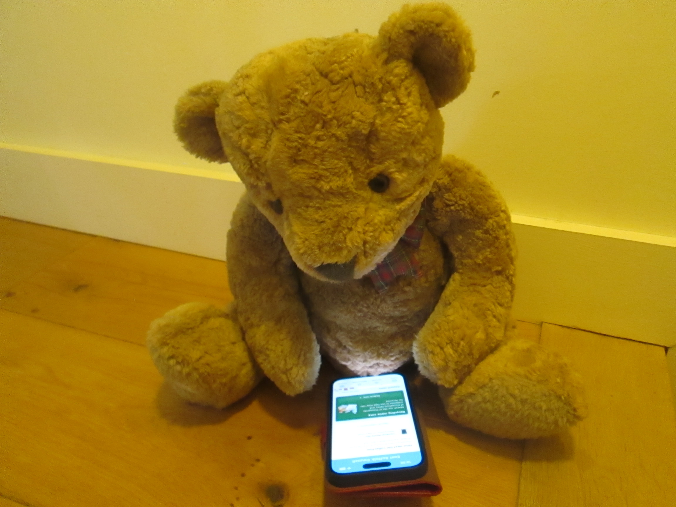 East Suffolk app for Bin collections etc